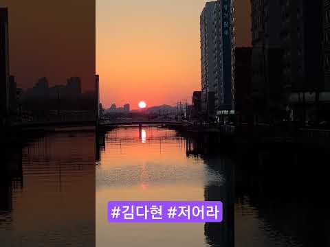 #김다현 #저어라 #shorts ❤️🎵🧑‍💻