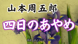 【朗読】山本周五郎「四日のあやめ」　　朗読・あべよしみ