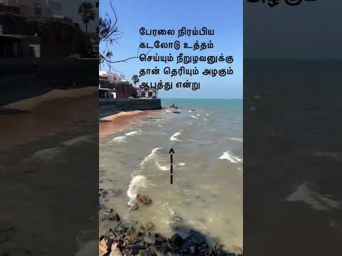 Beauty and the danger #youtubeshorts #love #beach #tamil