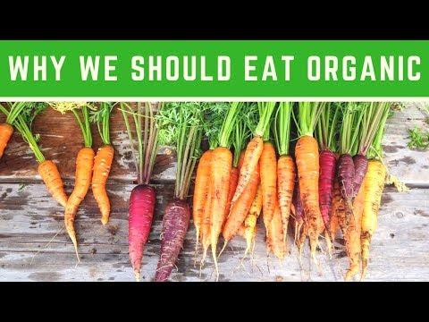 Why We Should Eat Organic