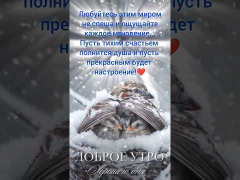 Доброе утро,хорошего дня открытки на каждый день #открытка #доброеутро #видеооткрытка #доброеутречко