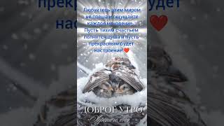 Доброе утро,хорошего дня открытки на каждый день #открытка #доброеутро #видеооткрытка #доброеутречко