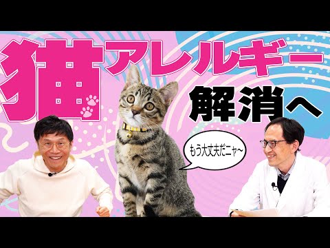 【世界の論文】猫好き必見！猫アレルギーの原因は毛ではなかった？目からウロコの解決策【論文読んでみた】