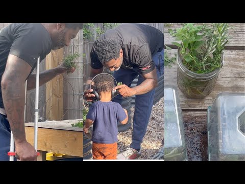 CLONING HERBS | SPRING ONIONS | GLOG 023