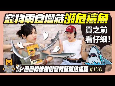 EP. 166 寵物零食潛藏瀕危鯊魚 買之前看仔細了！｜毛爸媽碎碎唸