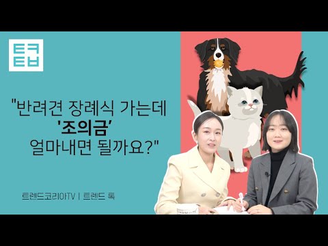 [트렌드톡] 펫코노미 "반려견 장례식 가는데 '조의금' 얼마내면 될까요?"