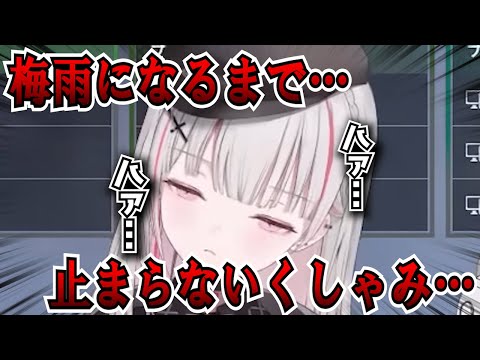 花粉でくしゃみがとまらない空澄セナまとめ【空澄セナ/アステル/アルス・アルマル/すもも/ぶいすぽ/切り抜き/VTuber】