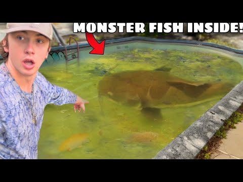 I Found an Abandoned Pool FILLED with Monster Fish!