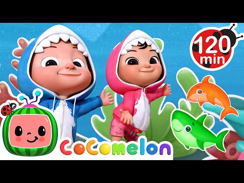 Baby Shark Dance! 🎵 | CoComelon Nursery Rhymes and Kids Songs | Animals for Kids