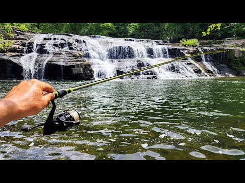 Fishing Below A 30 FOOT WATERFALL!! (New Species)