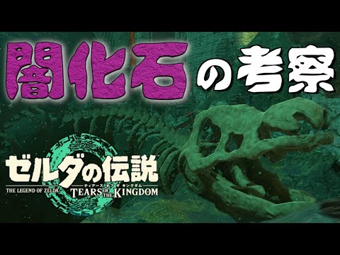 ティアキン【考察】闇化石を調べてたら水龍を見つけた　ゼルダの伝説　ティアーズオブザキングダム