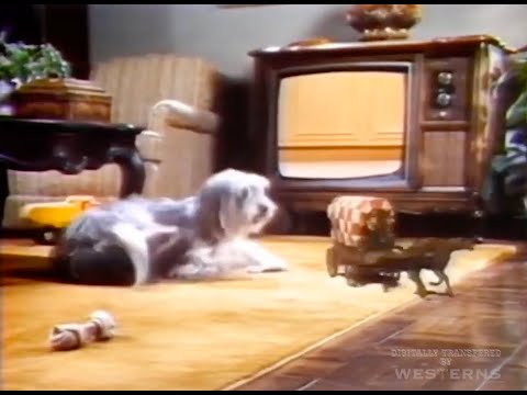 Chuckwagon Dog Food 1970's classic retro TV commercial