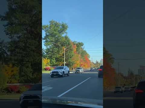 Beautiful fall season / Autumn Colors (watch till end) #shorts #fall #nature