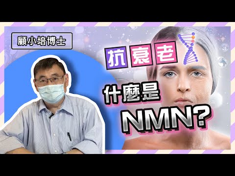 NMN | 顧小培博士分享抗衰老的秘密