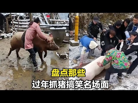 过年抓猪名场面，场面一度陷入混乱不可控制