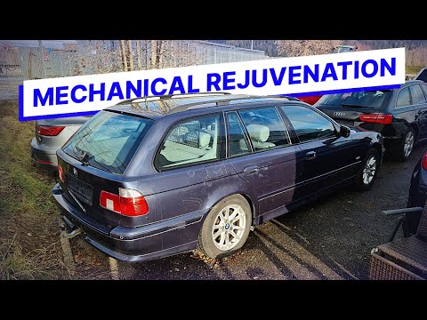 How Much Work Can a Neglected BMW Need? - E39 530i Touring - Project Rottweil: P2