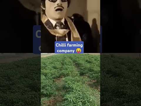 Pankaj industries farming #motivational #dialogue #bollywood #khetibadi #kissanmajdoorektazindabadh