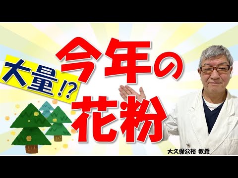 今年2023年は花粉大量飛散⁉飛び始めはいつ頃？ 大久保公裕先生がやさしく解説