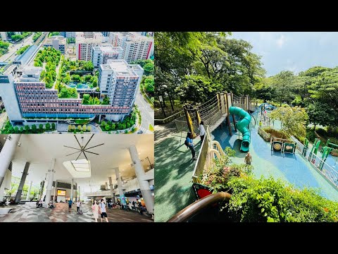 情牵海军部@三巴旺 Our Admiralty Tour  @ Sembawang 2024  海军部村庄、海军部公园、共和理工学院