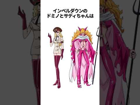 【ワンピース】ワンピースの思わず言いたくなる雑学【総集編】 #shorts #onepiece