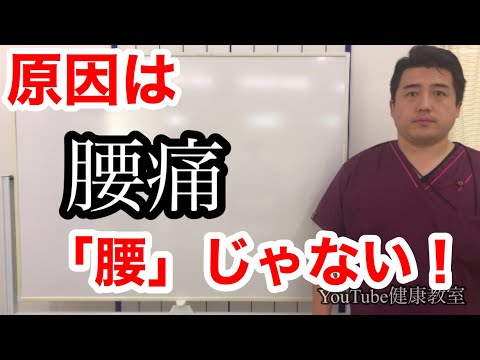 腰痛の原因は腰にはない！痛い所をマッサージしても根本的な解決はできません！腰痛を根本的に治すには○○を治せ！【YouTube健康教室 (20)】