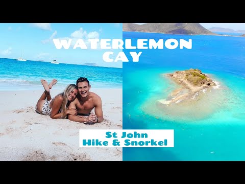 Waterlemon Cay Guide - St John's USVI Best Snorkeling 2021- 4K