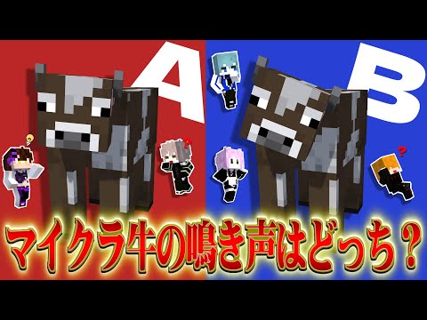 【マイクラ格付け・前編】マイクラ実況者としてのプライドを賭けた熱き戦い⁉️【Minecraft】