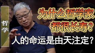 為什麼哲學家都很長壽？人的命運有天注定？再怎麼努力也無法改變？#窦文涛 #圆桌派 #人生感悟 #对白