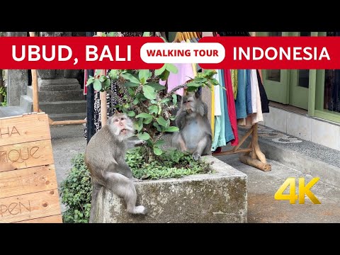 Travel Ubud Bali Indonesia 2024 🇮🇩 Walking tour 4K