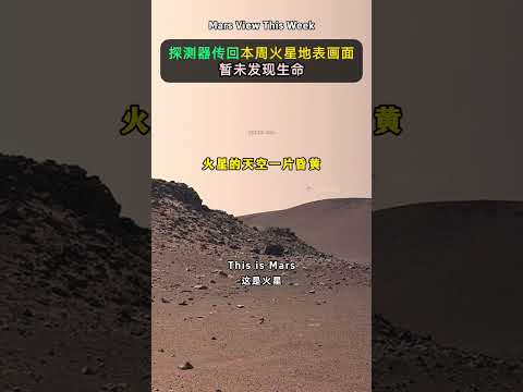 Monday on Mars. 本周火星地表照片传回来了！很可惜，探测器依然没找到任何生命 。火星，压根不适合人类的生存，生存条件比南极还恶劣。几乎是一颗“已经死去”没有任何活力的星球#宇宙