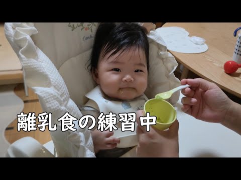 離乳食を練習中の0歳児【201Days】