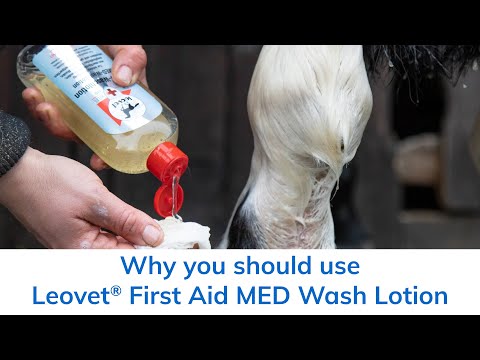 Why you should use Leovet® First Aid MED Wash Lotion