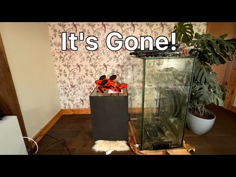 The Red Sea Reefer Peninsula 500 Is No More | The Prestige Reef Dork Show Ep 41