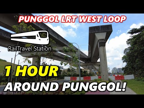 1 HOUR LOOP OF PUNGGOL LRT WEST LOOP! 🇸🇬🚆 Punggol ↺ Punggol ↺ Punggol ↺ Punggol ↺ Punggol