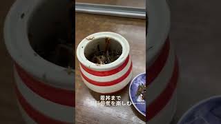 北海道旭川市　中華そば富いち　冷やしラーメン