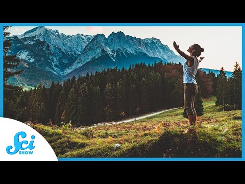 Getting Free Serotonin from Nature | Compilation