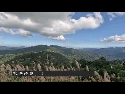 樹梅嶺山