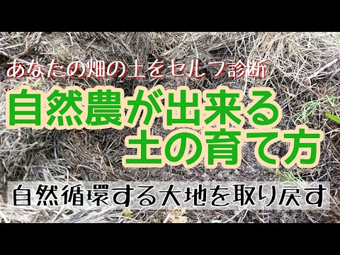 自然農ができる土の育て方／どんどん自給が楽になる