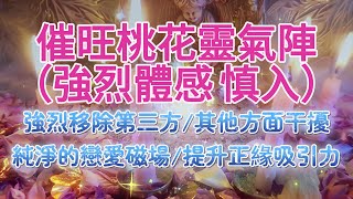 正緣 音樂 2024 催旺桃花運の靈氣陣！*額外配方：普拉那振動+小五芒星驅逐清理：自我魅力調頻/移除第三方/清除一切干擾情感的因素（作用於潛意識，因人而異）