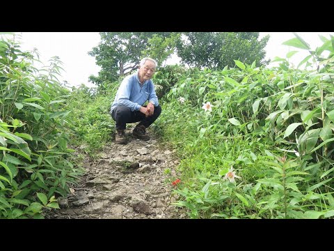 毛無山登山