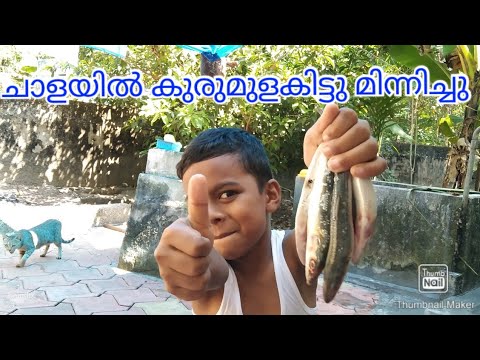 മത്തി കുരുമുളക് ഫ്രൈ //mathi kurumulak fry //