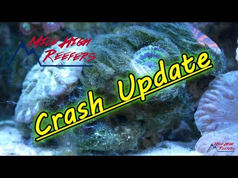 Tank Crash Update 7 17 19