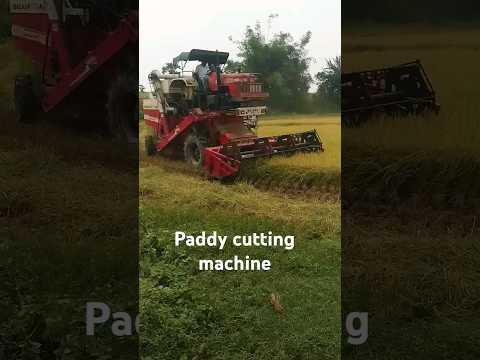 Paddy cutting machine #paddy ₹rice