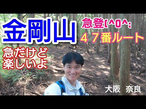 金剛山  急登47番ルート再び