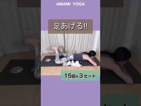 【美尻確定!?】おしり&骨盤じめ🔥食欲の秋に向けて先取りトレーニング！#amamiyoga #あまみヨガ　#ダイエット　#ヨガ　#ヨガ女子　#ヨガ美女 #おしり　#美尻 #骨盤じめ　#痩せたい