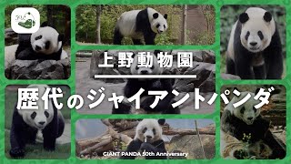 上野動物園 歴代のジャイアントパンダ