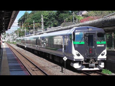 【横須賀線】特急鎌倉　E257系5500番台　2022.10.1