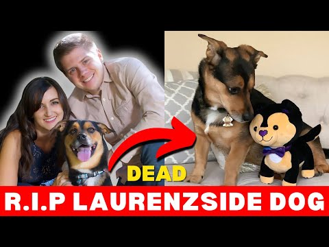 LaurenZside's Heartbreak: Dexter Has Passed Away