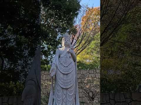 Winter day in Tokyo（Meguro Fudo Temple）東京での冬の一日（目黒不動尊） #japan #travel #trip #縁日 #december #冬