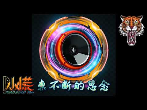 Dj小慌-說一句我不走了「怎麼相信當初的你是那麼溫柔」（Remix）